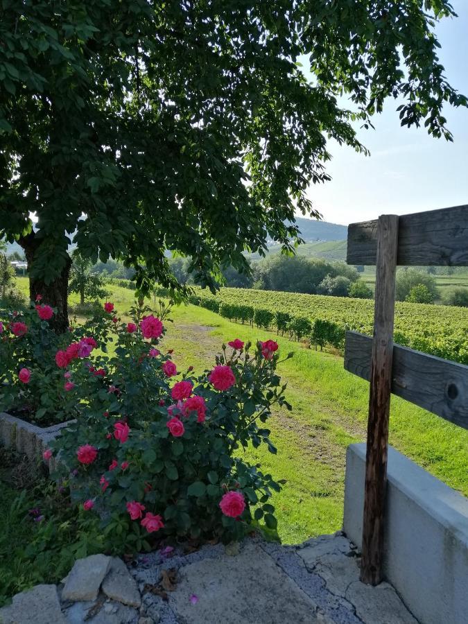 Weingut Licht-Stadtfeld 브라운버그 외부 사진