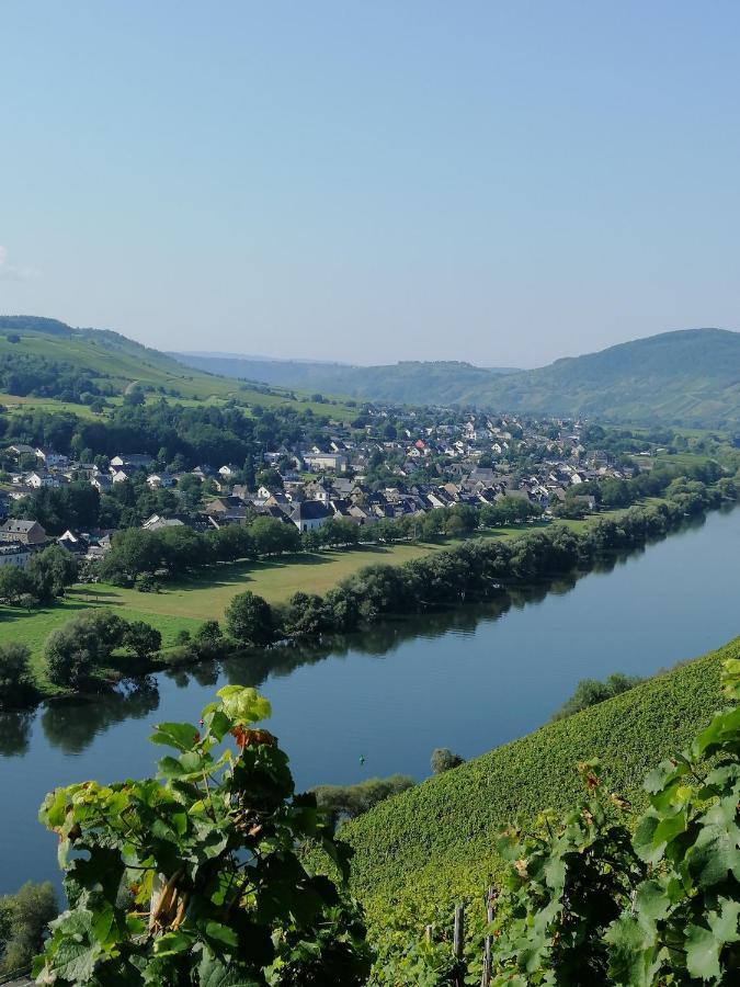Weingut Licht-Stadtfeld 브라운버그 외부 사진